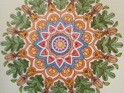 whatsapp bild 2023-08-09 um 19.00.51